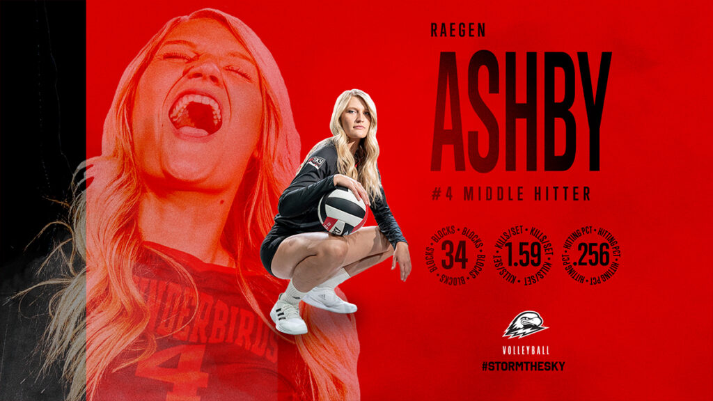 Volleyball Ashby Graphic